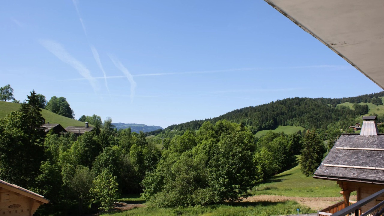 Photo of Outdoor in Le Grand-Bornand