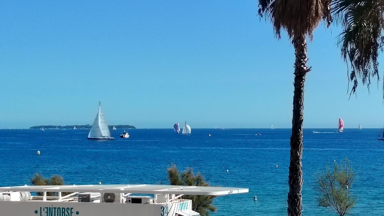 Photo of Others in La Bocca