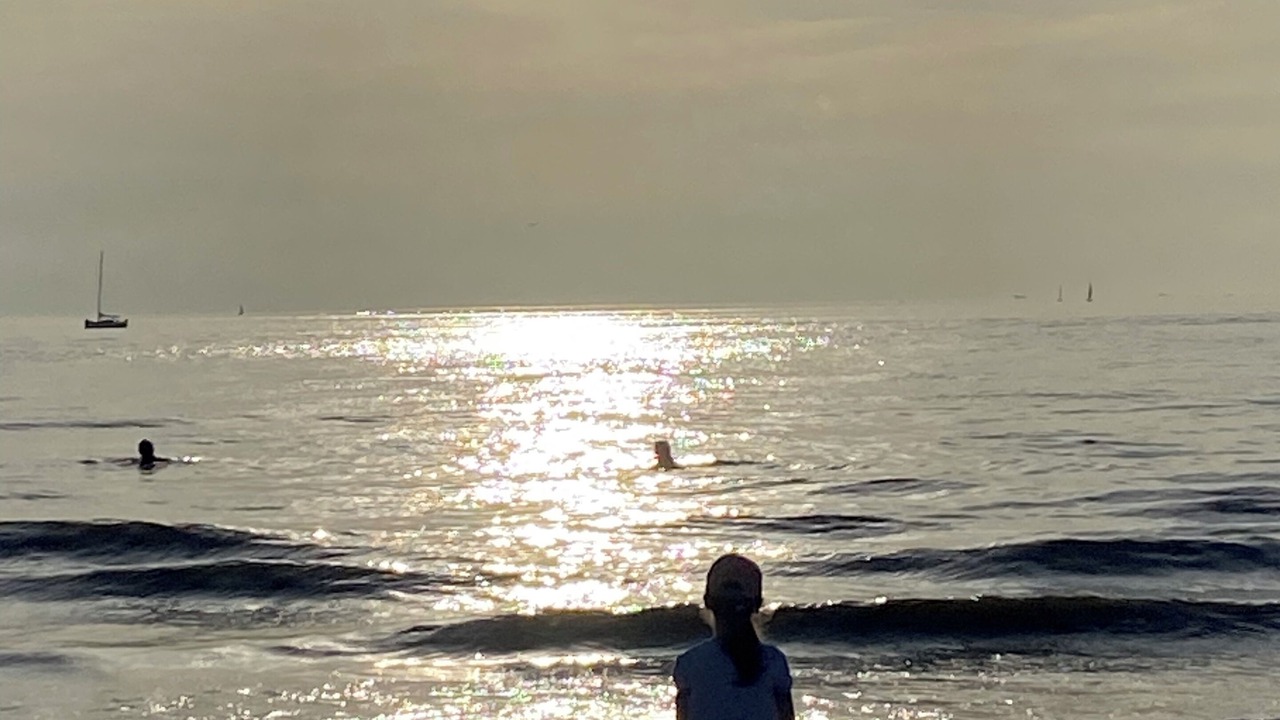 Photo of Others in Saint-Martin-du-Littoral