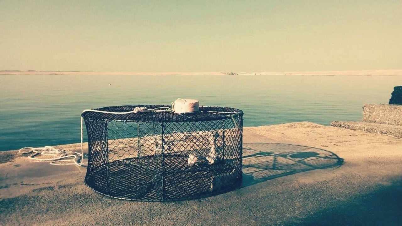 Photo of Outdoor in Tribanj