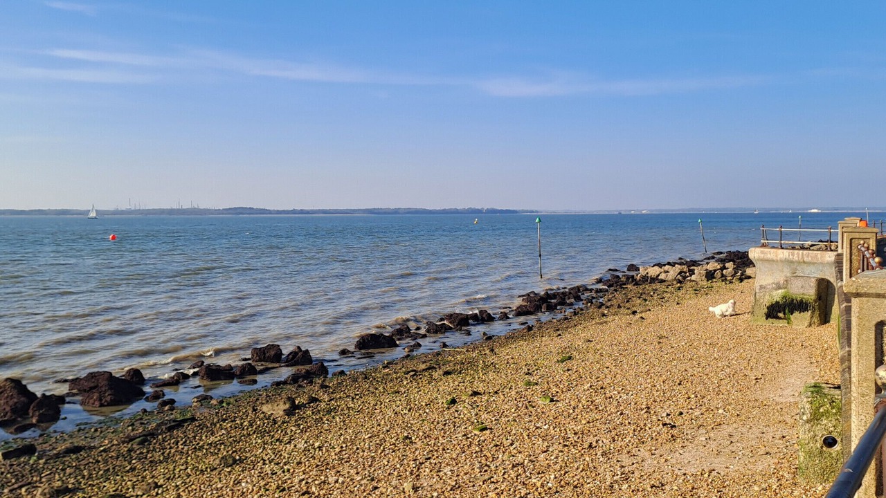 Photo of Others in Netley