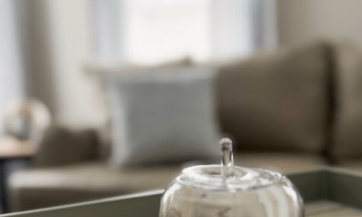 Photo of Others in Evansville