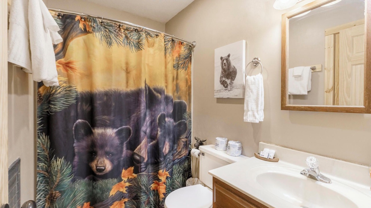Photo of Bathroom in Banner Elk