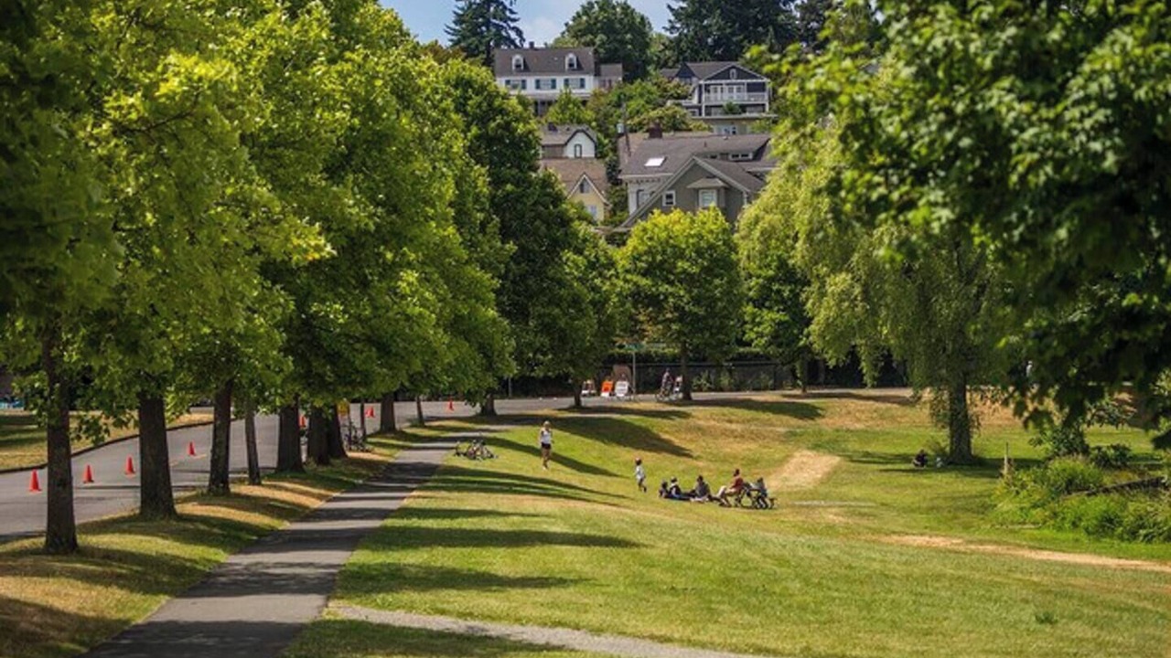 Photo of Others in Seattle Metro Area