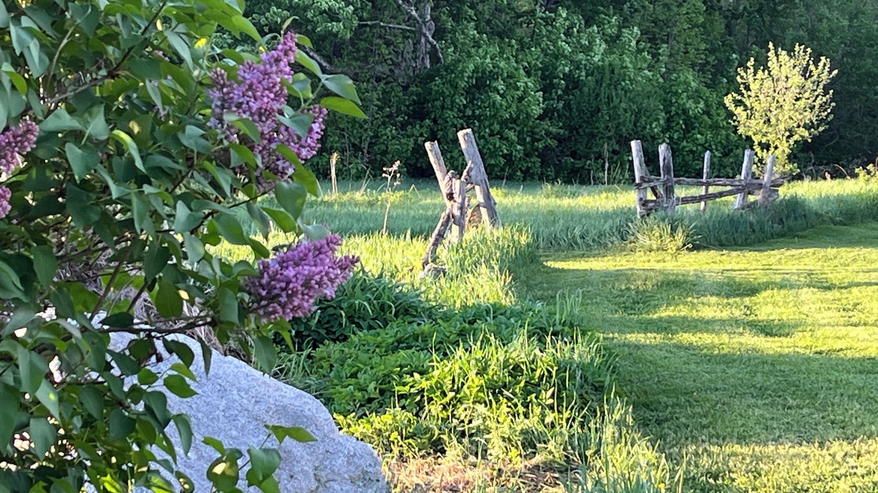 Photo of Outdoor in Linneus
