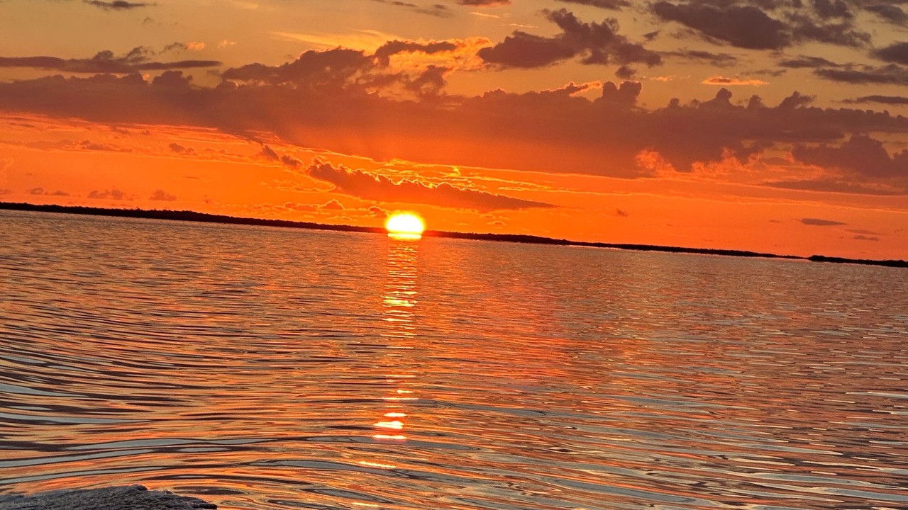 Photo of Others in Key Largo Village