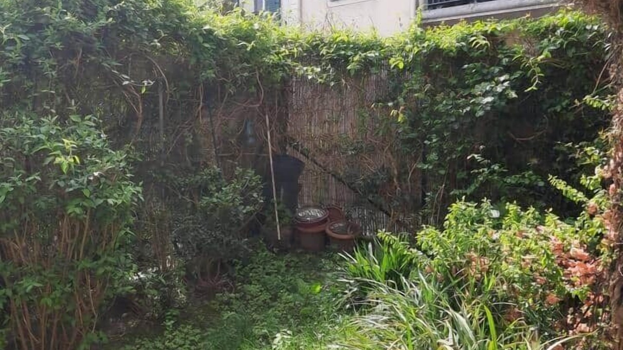 Photo of Outdoor in Bailly-Romainvilliers