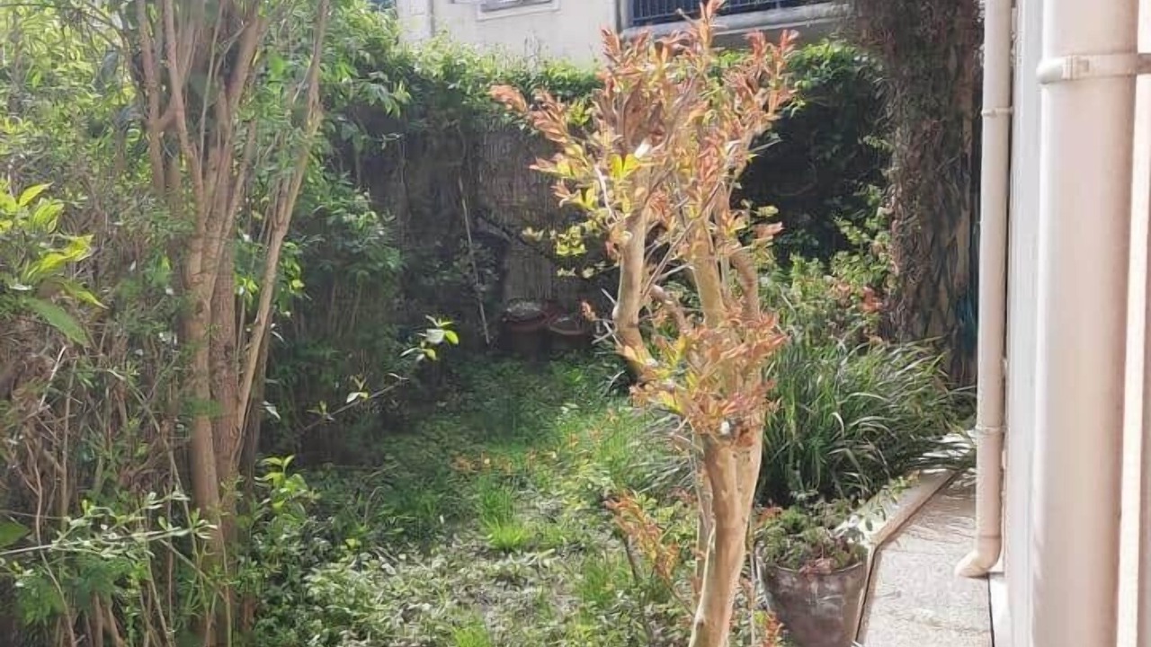 Photo of Outdoor in Bailly-Romainvilliers