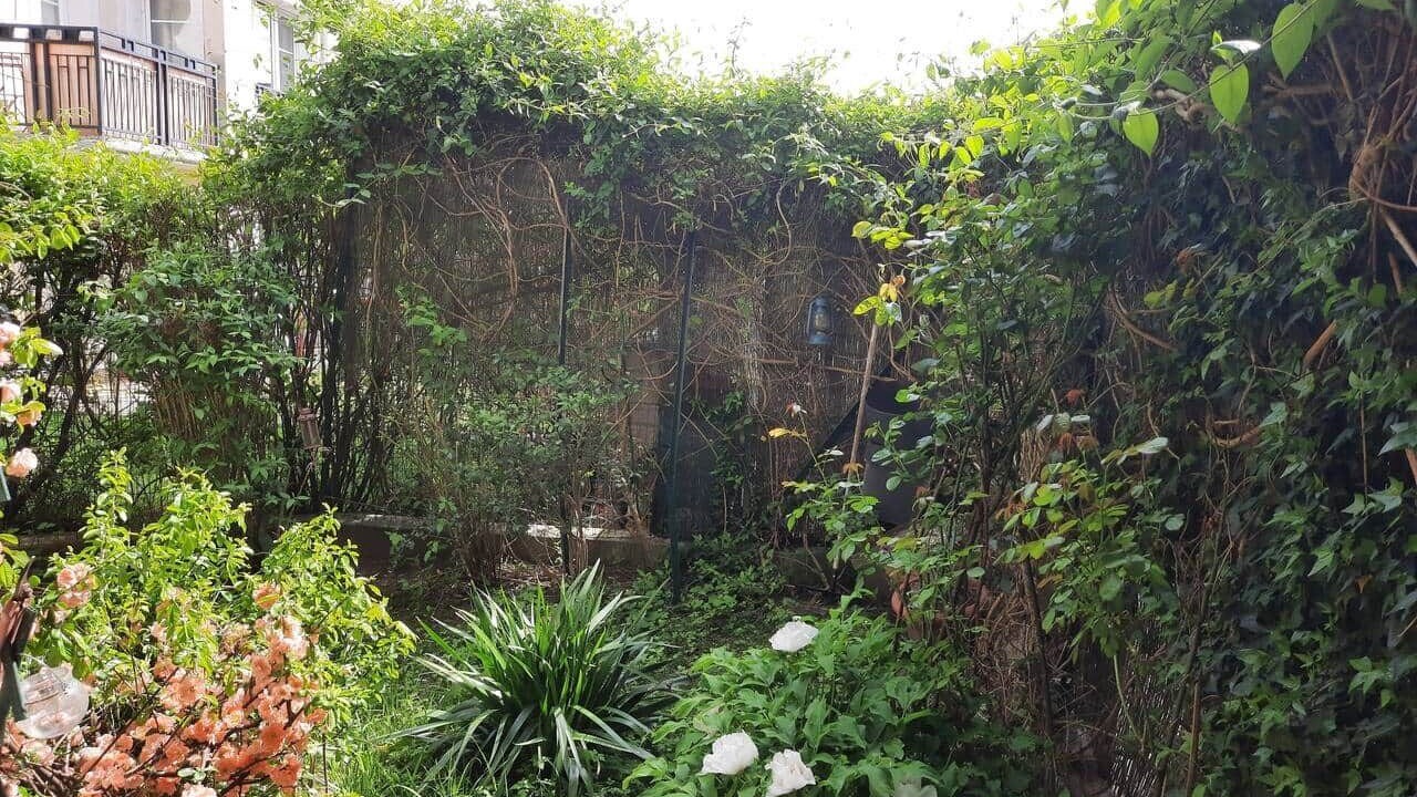 Photo of Outdoor in Bailly-Romainvilliers