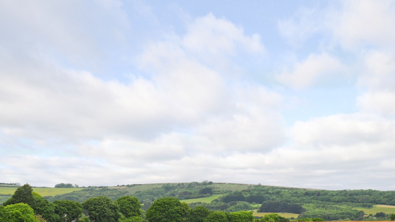 Photo of Others in Sandown