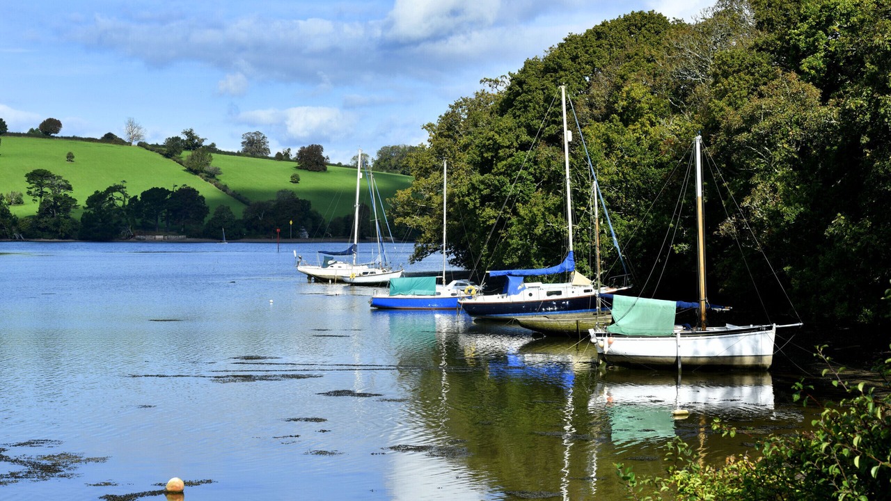 Photo of Others in Dittisham