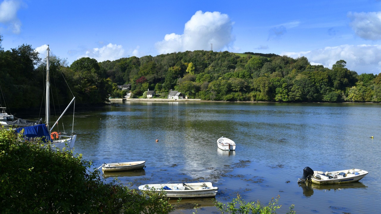 Photo of Others in Dittisham