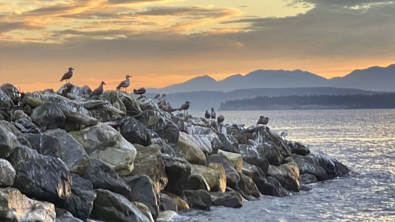 Photo of Others in Lagoon Point
