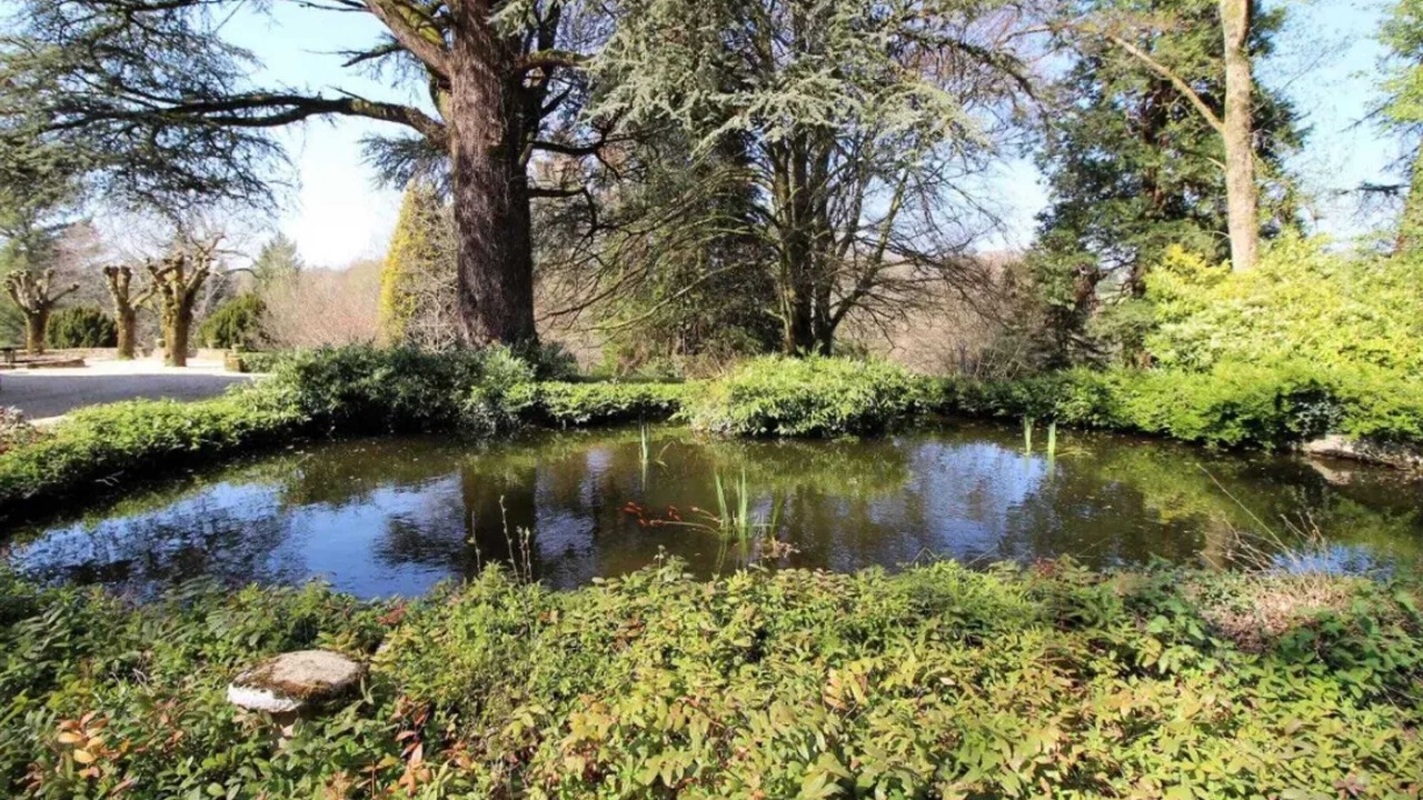 Photo of Outdoor in Saint-Gence