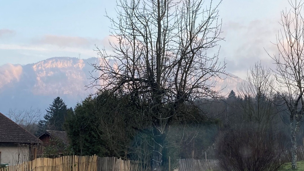 Photo of Others in Novalaise