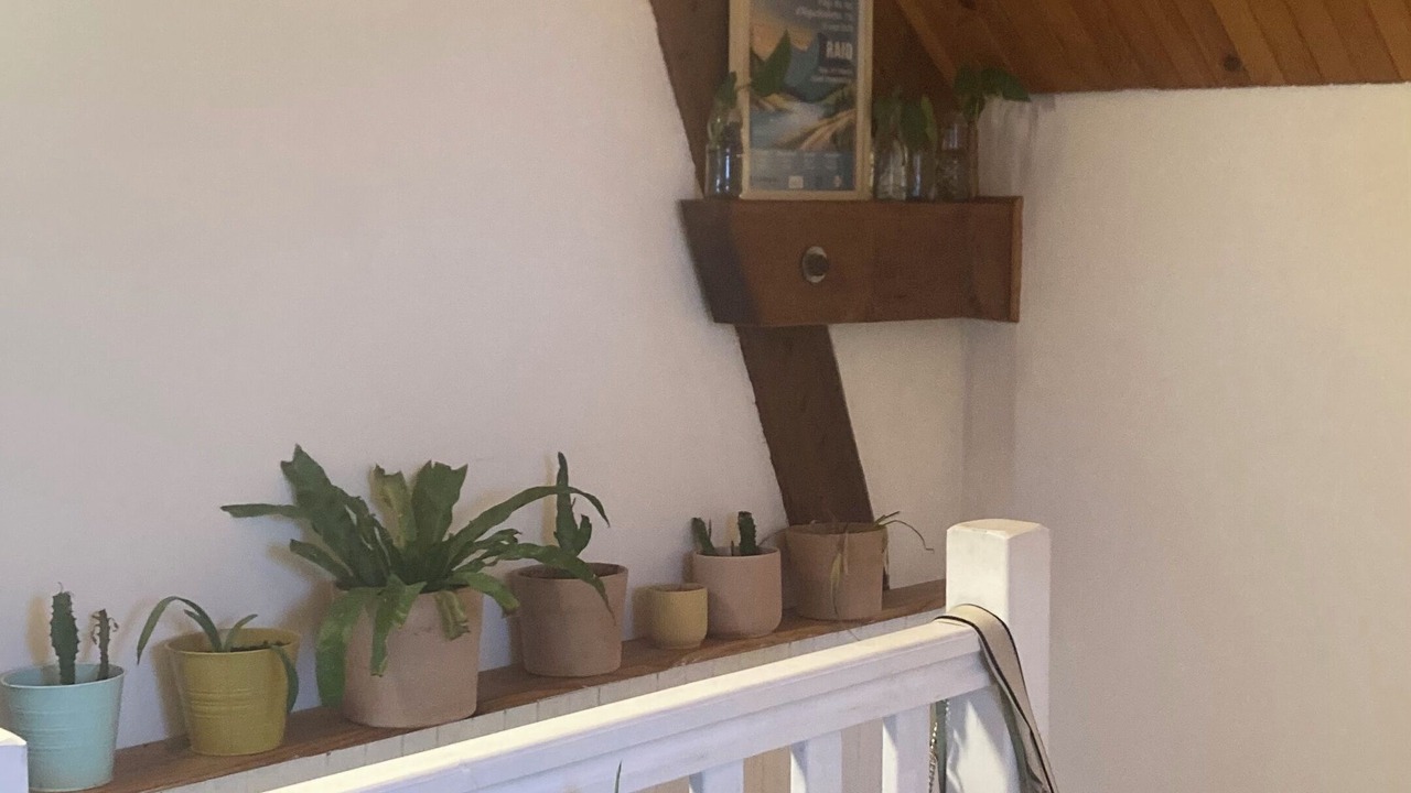 Photo of Others in Novalaise