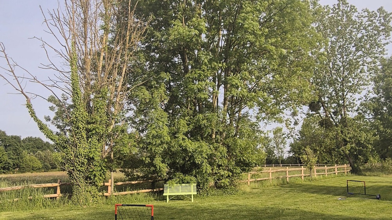 Photo of Others in Toutainville