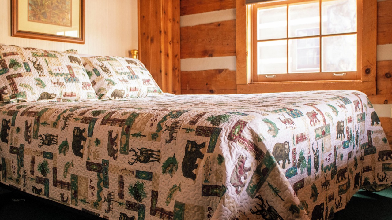 Photo of Bedroom in Pittman Center
