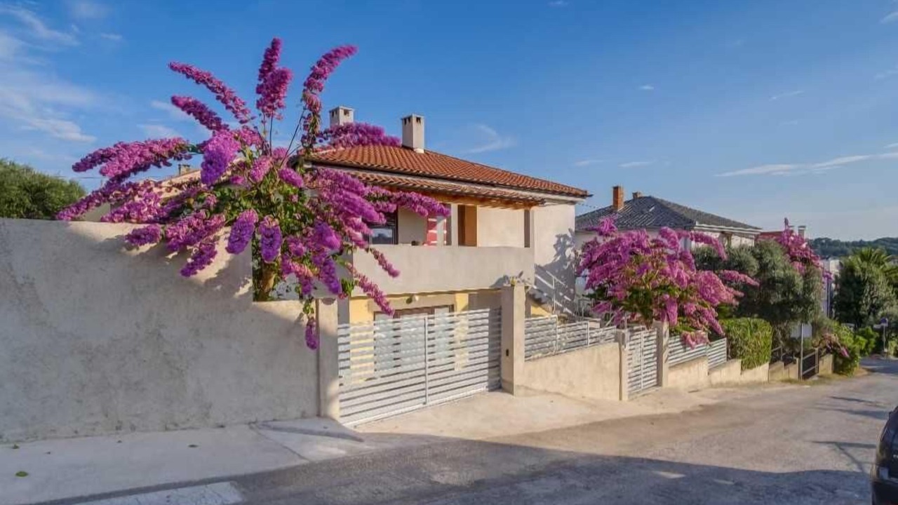 Photo of Outdoor in Cove Murtar