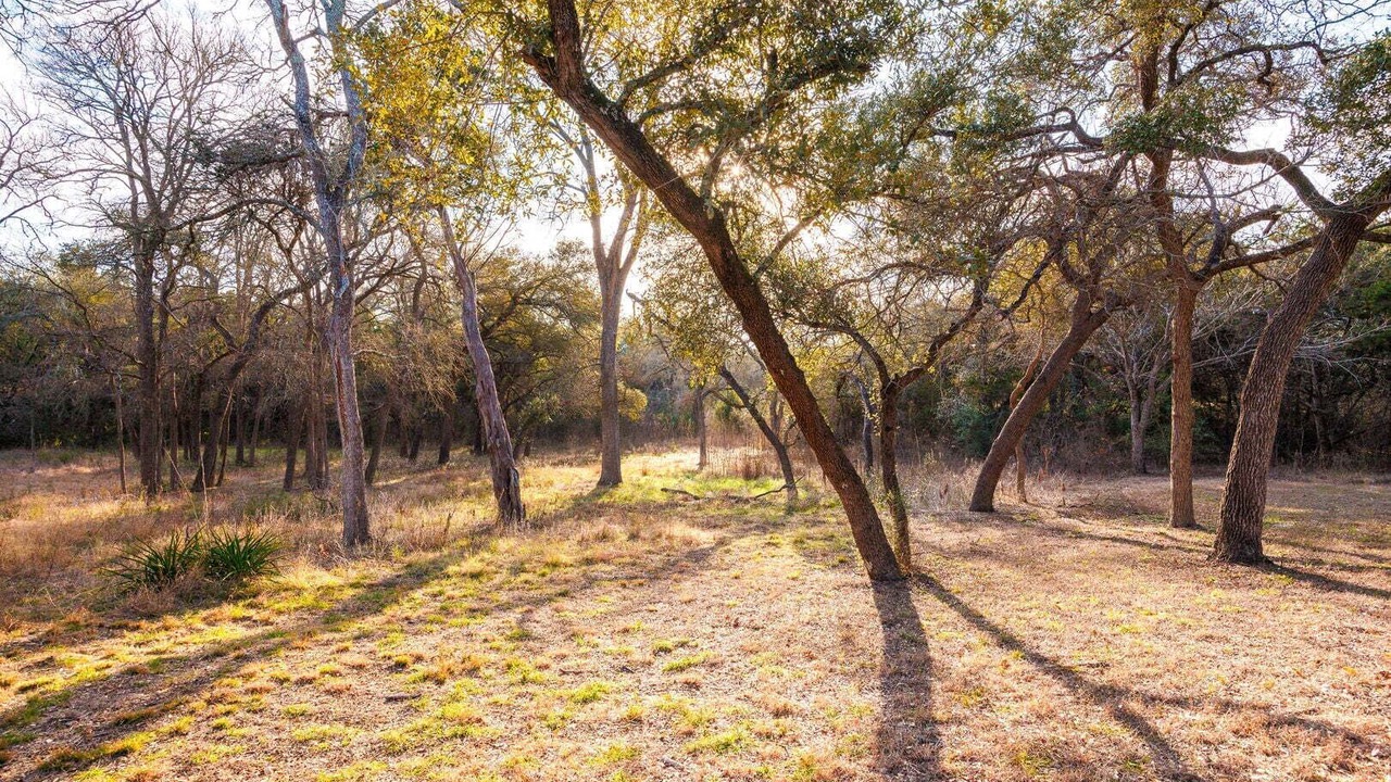 Photo of Others in Wimberley