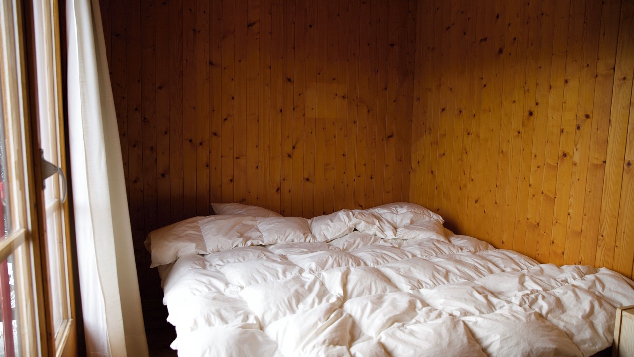Photo of Bedroom in Ovronnaz