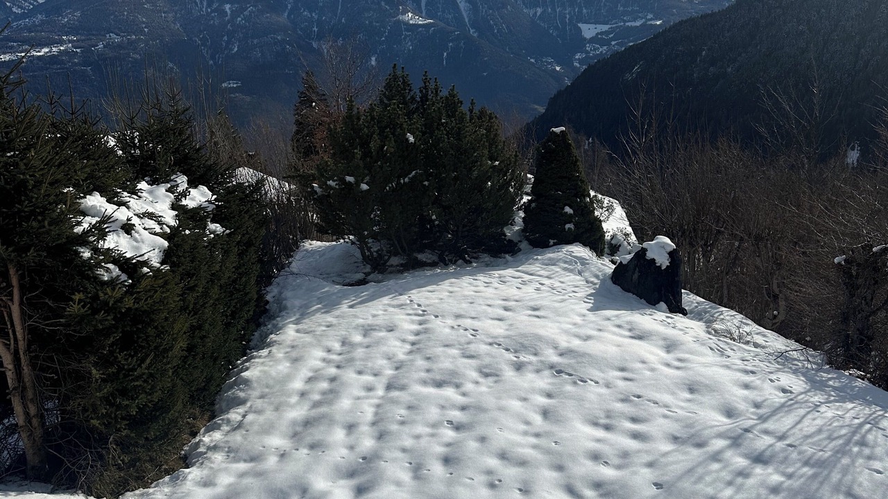 Photo of Others in Ovronnaz