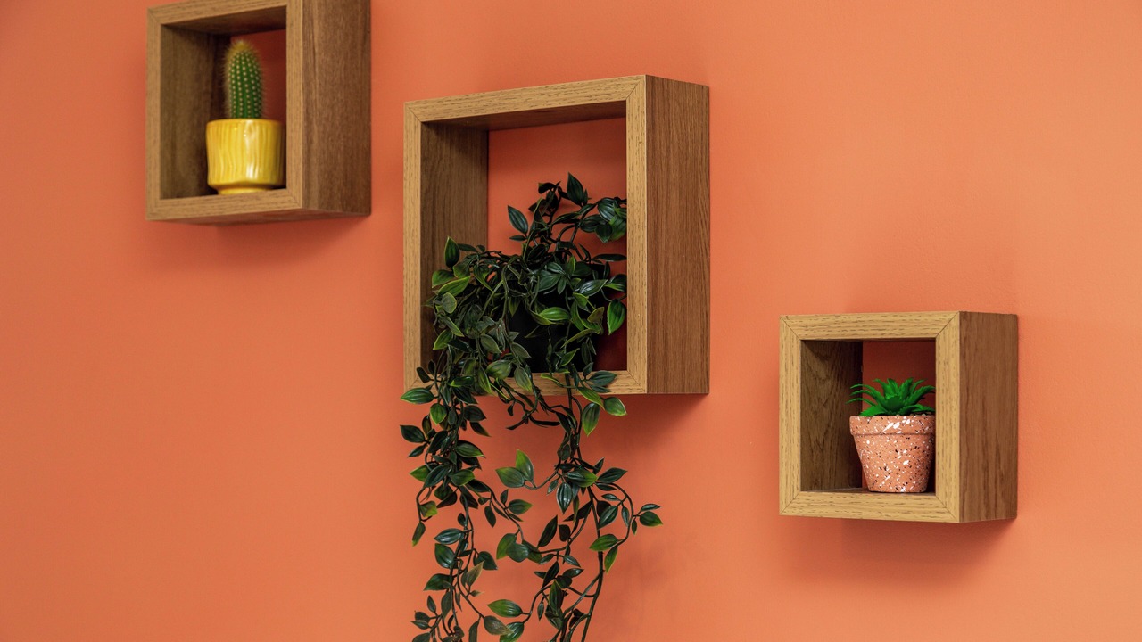 Photo of Others in Syon