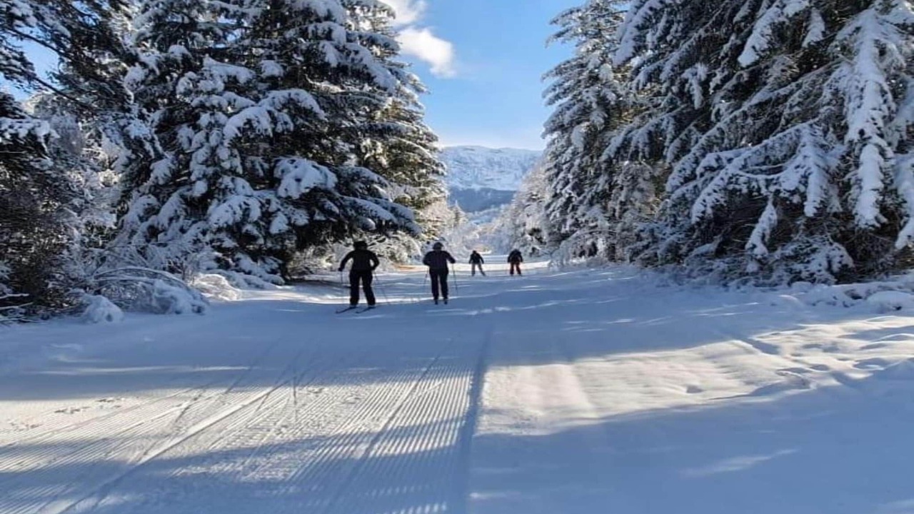 Photo of Others in Orcieres-Merlette