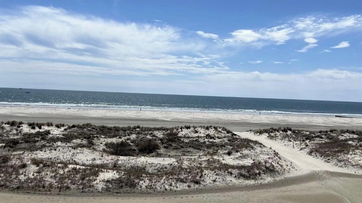 Photo of Others in Wildwood Crest