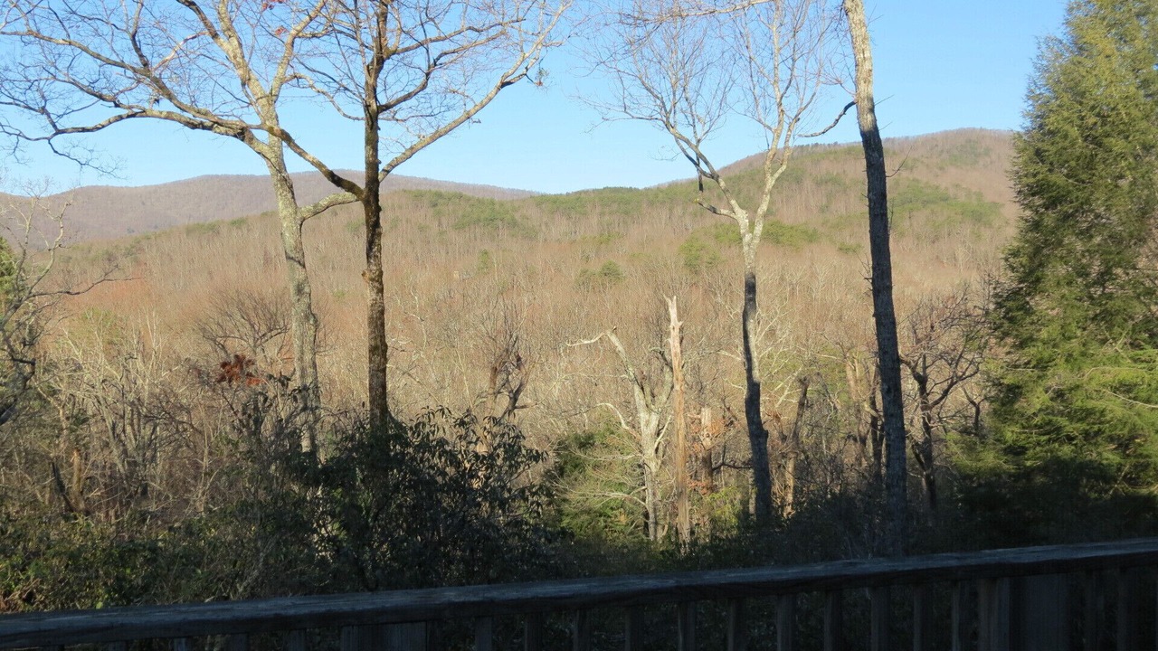 Photo of Others in Ellijay