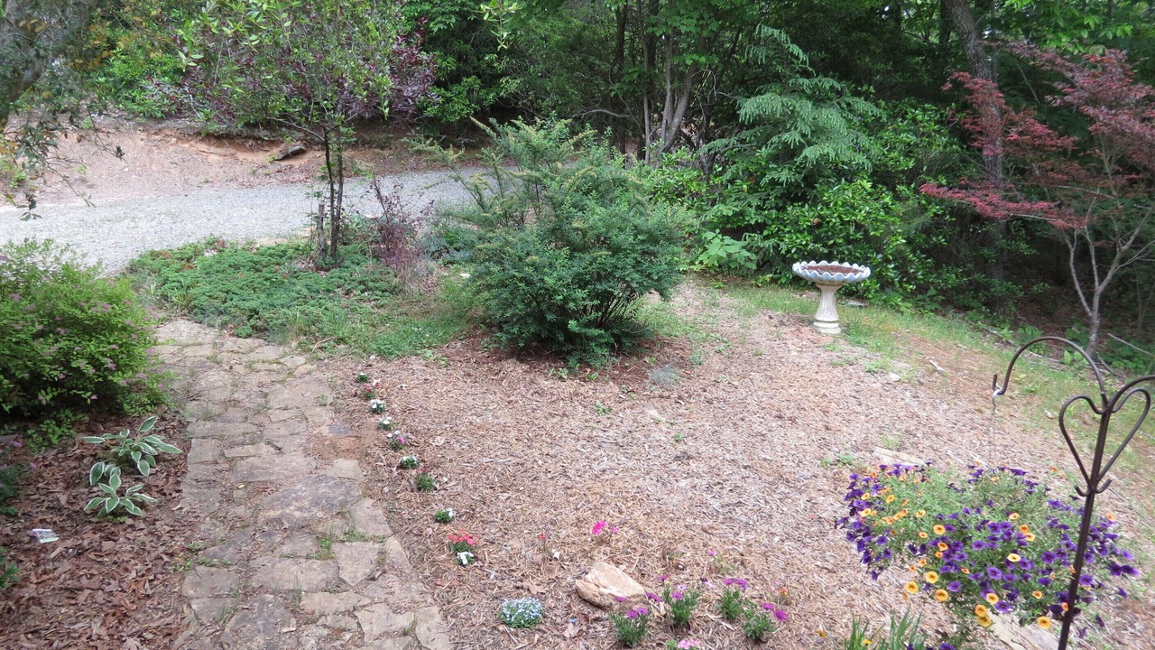 Photo of Outdoor in Ellijay