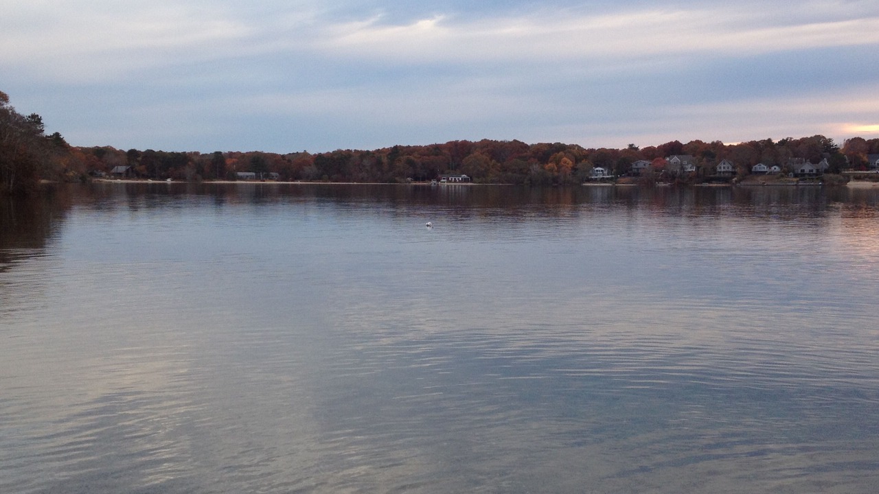 Photo of Others in Mashpee