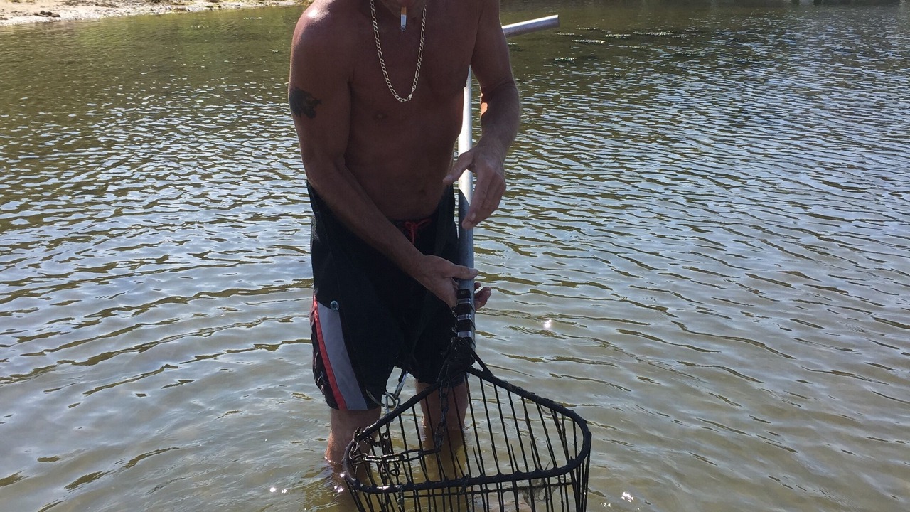 Photo of Others in Mashpee