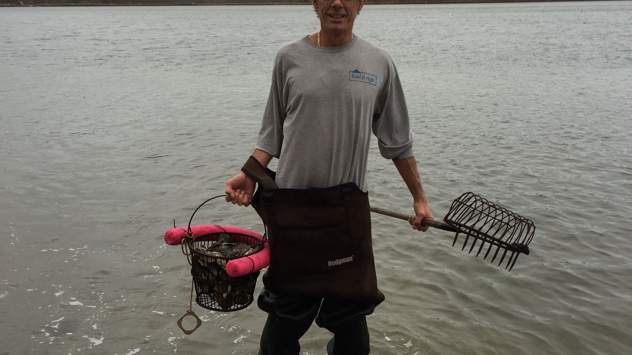 Photo of Others in Mashpee