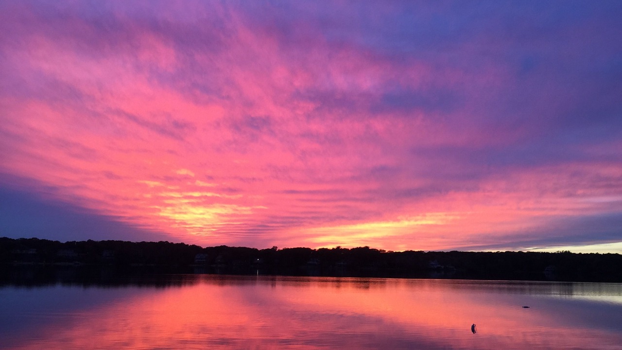 Photo of Others in Mashpee