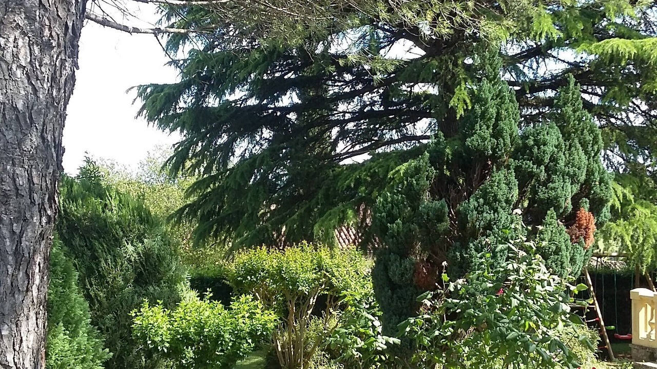 Photo of Outdoor in Pays-de-Belves