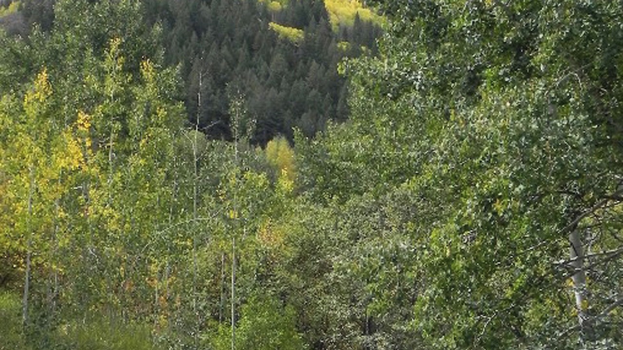 Photo of Others in Eagle-Vail