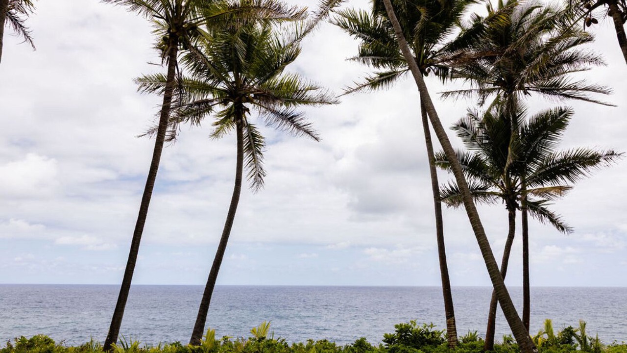 Photo of Others in Kehena Beach Estates