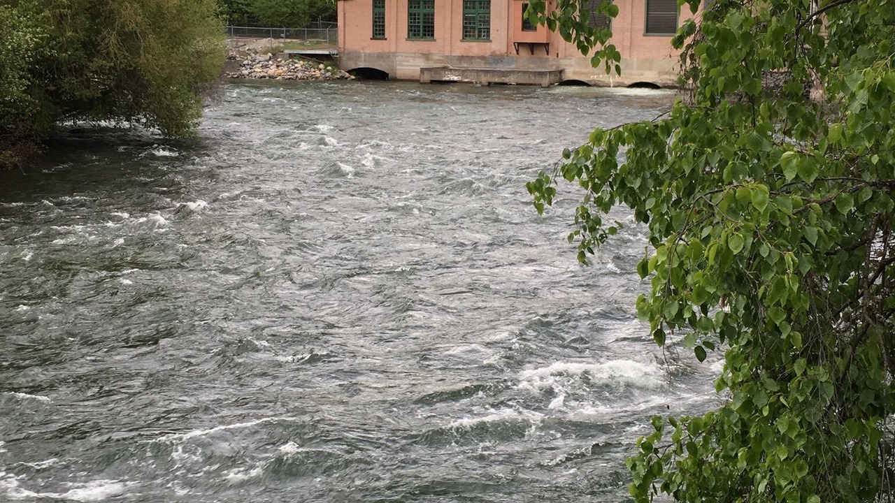 Photo of Outdoor in Bigfork