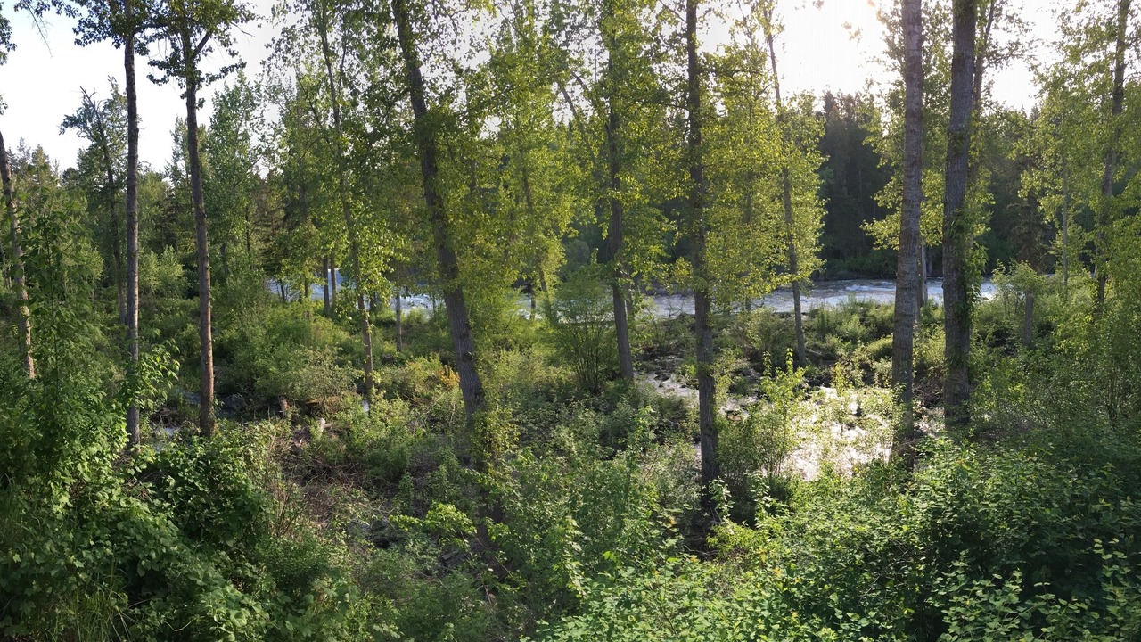 Photo of Outdoor in Bigfork