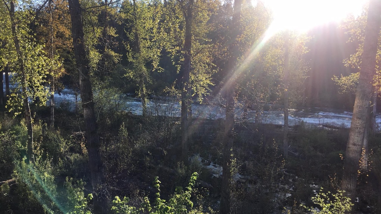 Photo of Outdoor in Bigfork