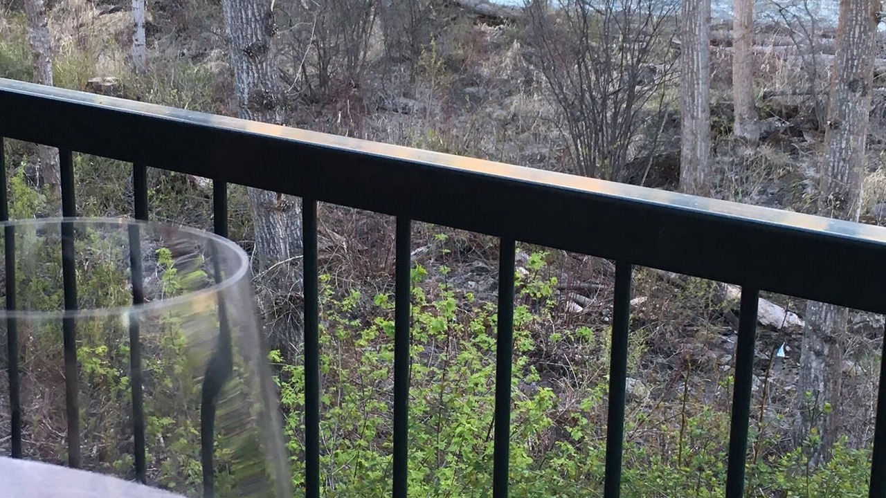 Photo of Others in Bigfork