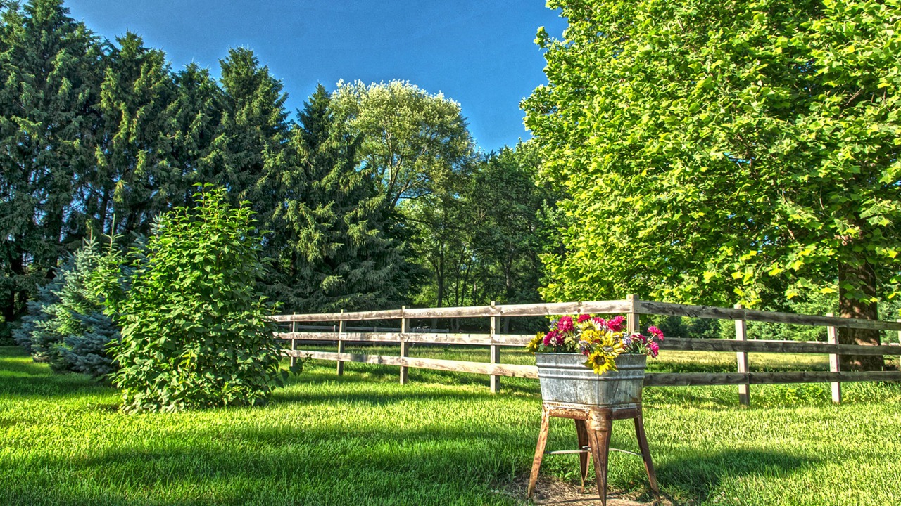 Photo of Outdoor in South Bend