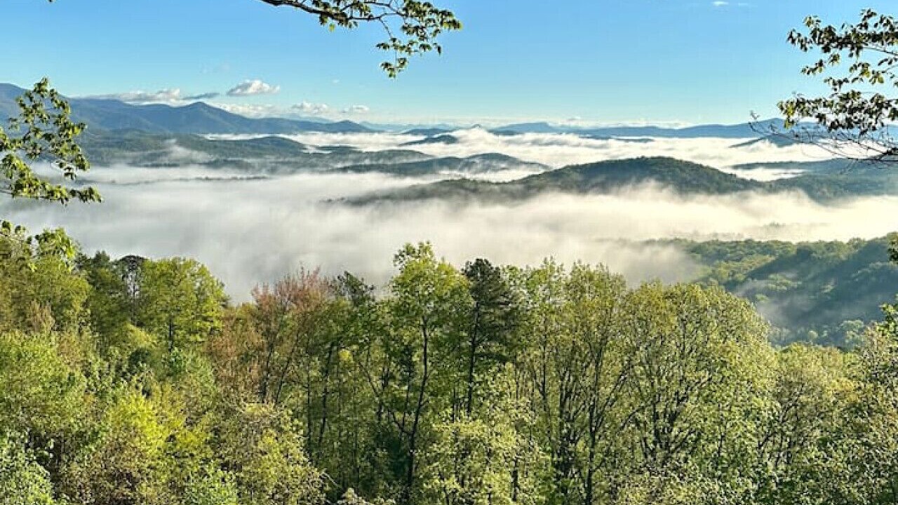 Photo of Others in Helen