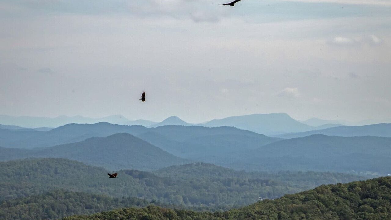 Photo of Others in Helen