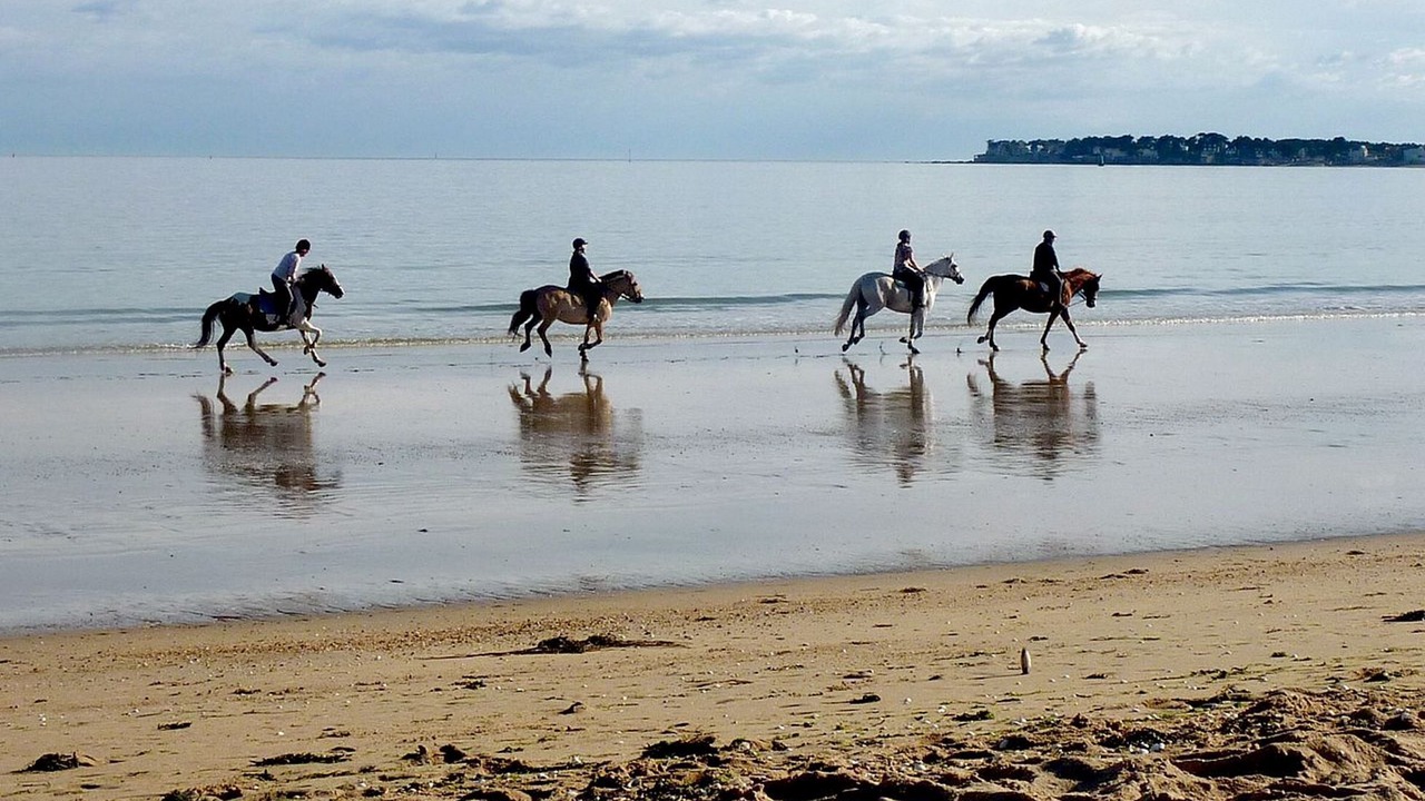 Photo of Others in Guerande