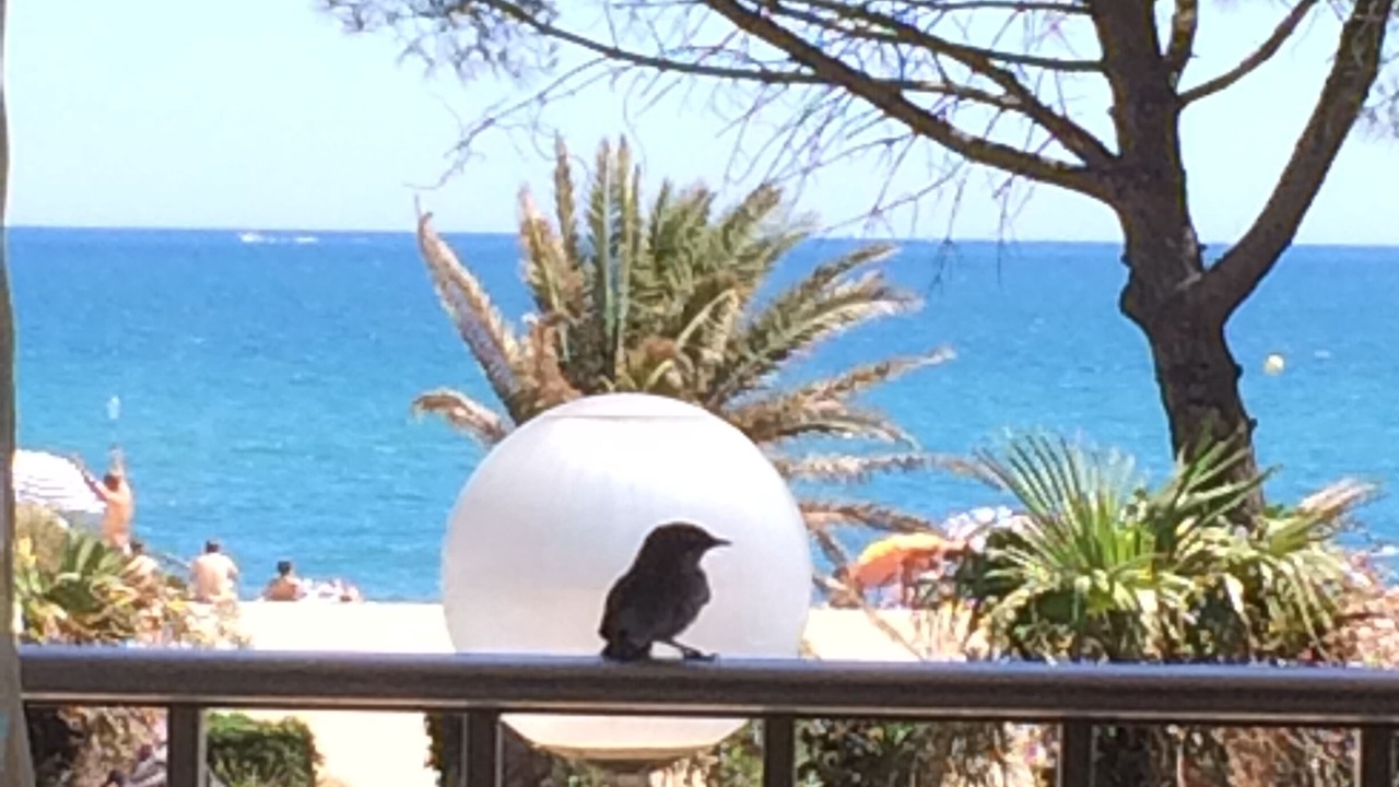 Photo of Outdoor in Argeles Plage