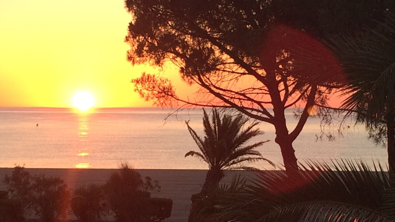 Photo of Others in Argeles Plage