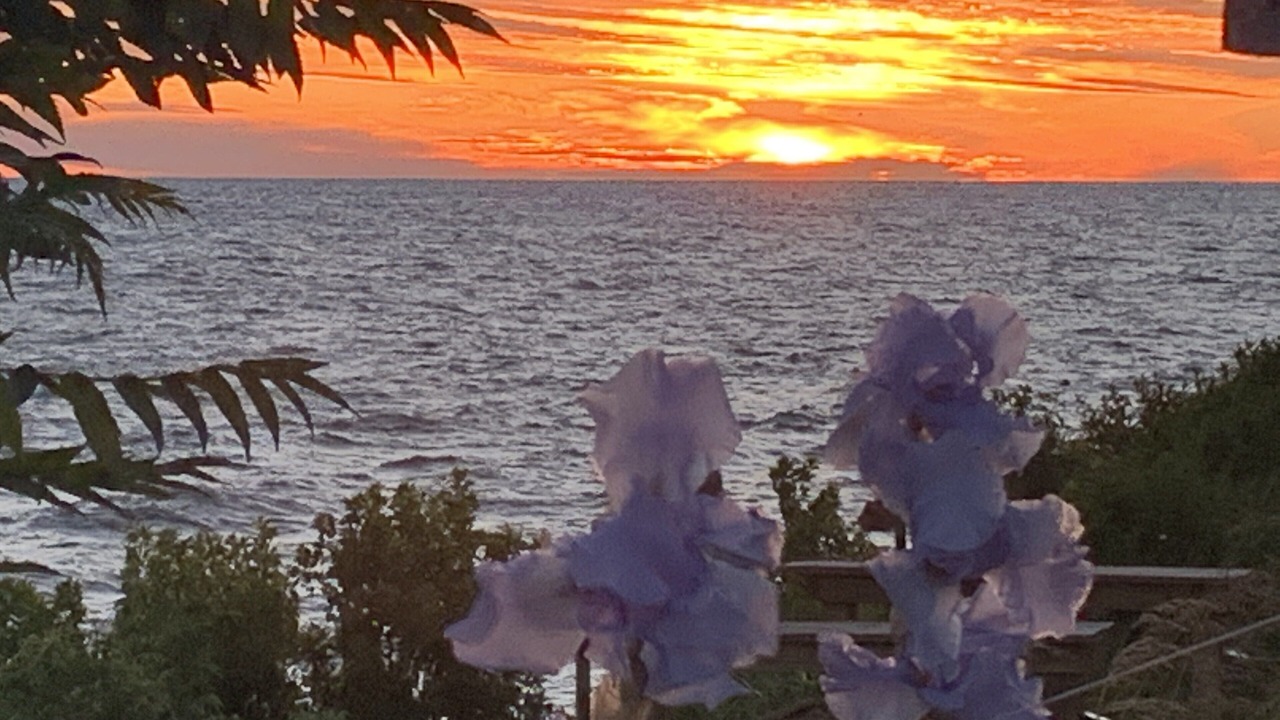 Photo of Outdoor in Olcott