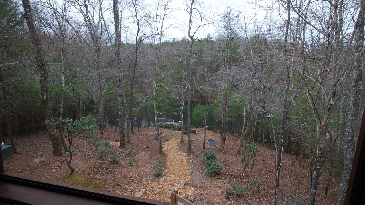 Photo of Others in Brasstown